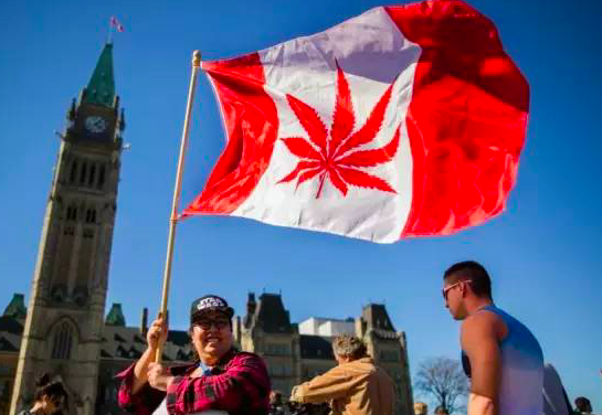 正式宣布大麻合法化，大麻产业将成加拿大重要经济支柱？